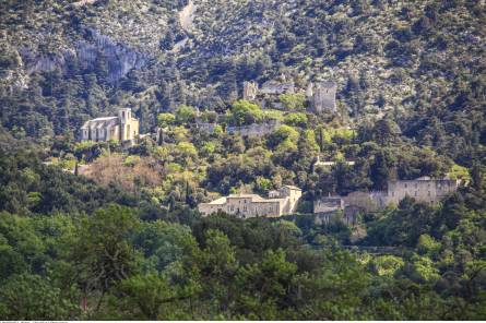 Circuit pédestre - Sentier Viticole d’Oppède en Luberon