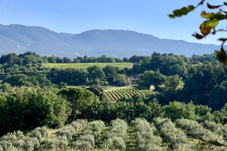 Moulin à Huile & Domaine Bastide du Laval