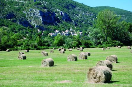 Le village de Monieux