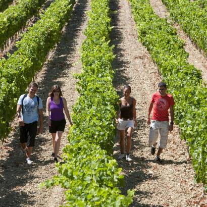 Caveau de Beaumont du Ventoux