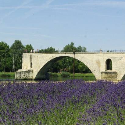 Pont d'Avignon (Saint-Bénezet)