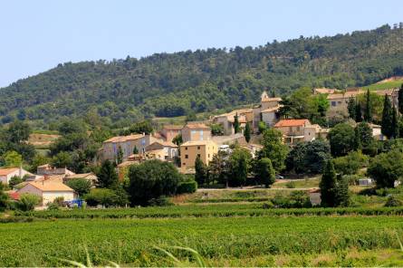 Village de Saint-Roman-de-Malegarde