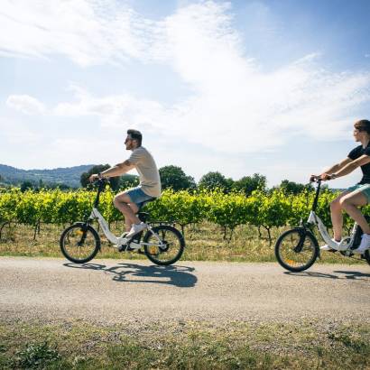 Balade à vélo électrique - Cave Terraventoux