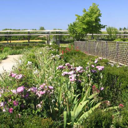 Le jardin romain de Caumont-sur-Durance