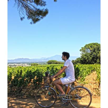 Rando-Vélo Gourmande dans le vignoble de Châteauneuf-du-Pape