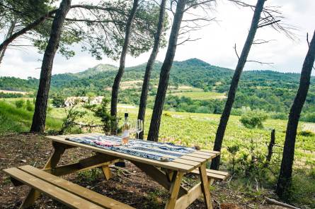 Table de pique-nique au Clos de Caveau