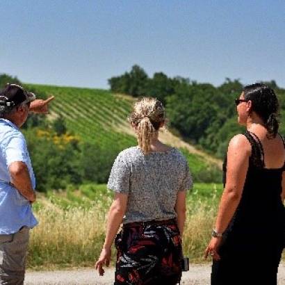 Balade vigneronne à la cave des Vignerons du Mont Ventoux