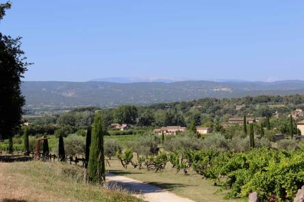 Sentier vigneron d'Oppède-Le Vieux