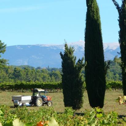 Pique-nique vigneron au Château Unang