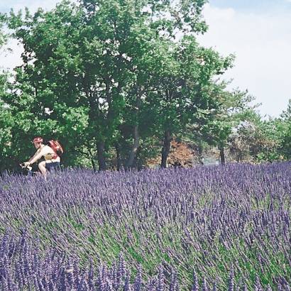 Grande Traversée du Luberon