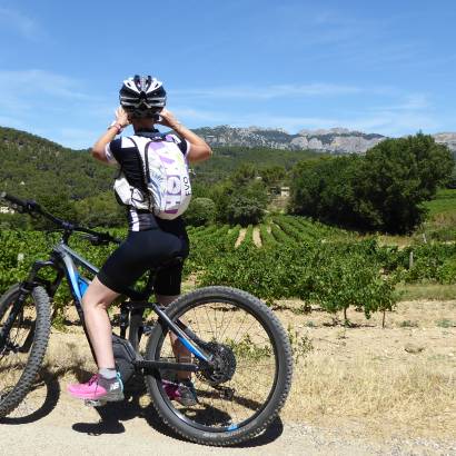 Caromb, Le Barroux, l'eau dans tous ses états: Balade accompagnée à vélo