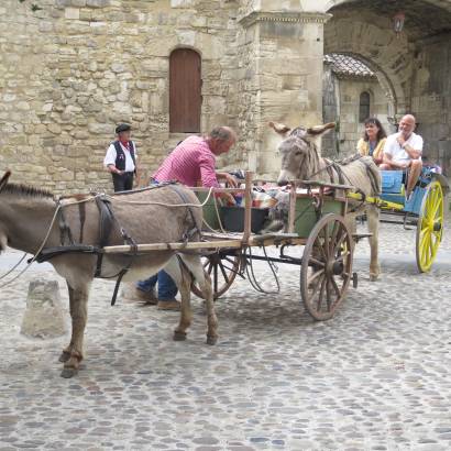 Balades en calèche avec des ânes attelés