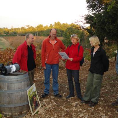 Audio-tour cave et vigne au Domaine de Marotte