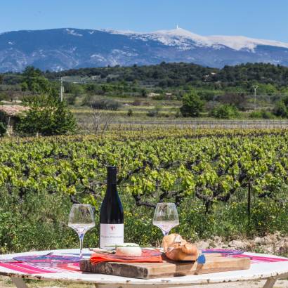 Pique-nique vigneron au Domaine Plein Pagnier