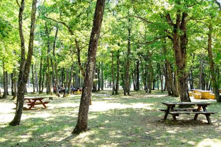 Aire de pique nique des bois du Defends