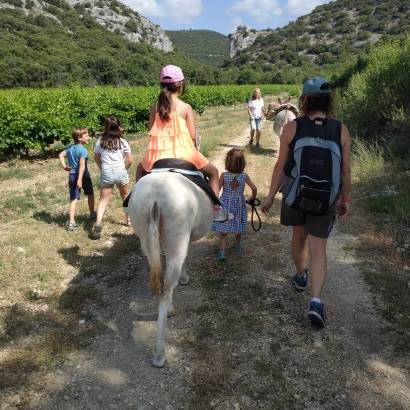 Tis'Ânes en Luberon