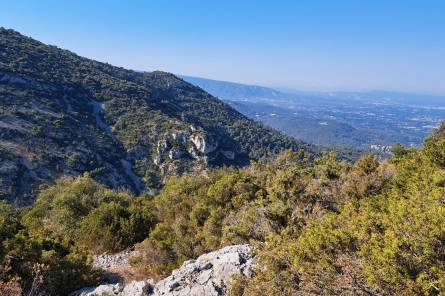 Trail des Monts de Vaucluse