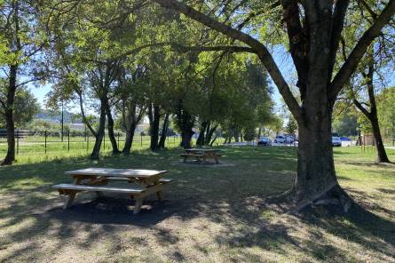 Aire de pique-nique du Parc du Grenouillet