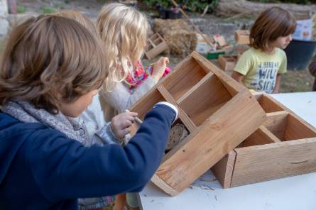 Les Dimanches au jardin : 