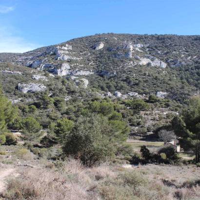 Randonnée autour de Saumane - avec Destination Luberon