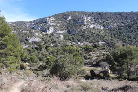 Randonnée autour de Saumane - avec Destination Luberon