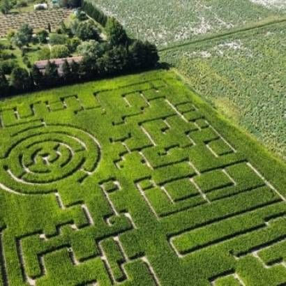 Nocturne grand frisson au Labyrinthe les Hautes Herbes