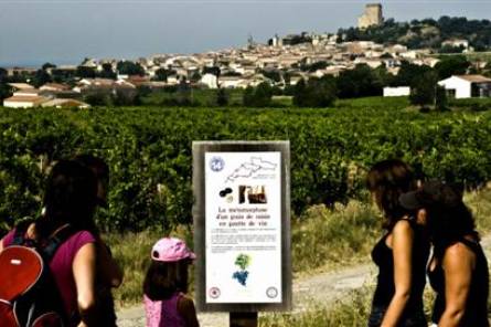 Escapade au coeur du vignoble de Châteauneuf-du-Pape