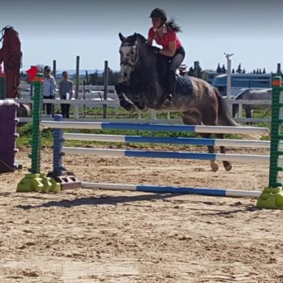 Centre équestre Cheval et Provence