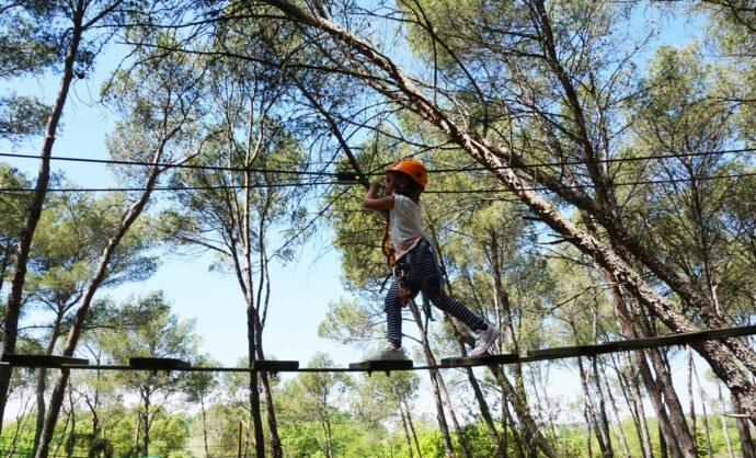 Parcours forestier en Provence @ Storm