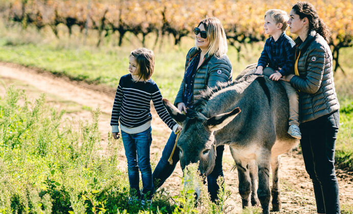 Balade avec les ânes en Vaucluse