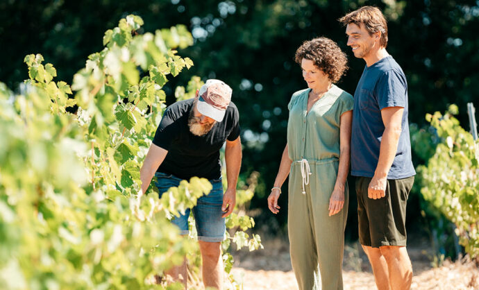 Balades dans les vignes