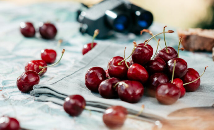 Cerises du Ventoux