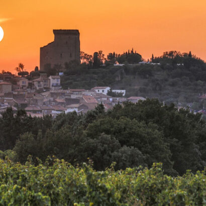 Châteauneuf-du-Pape & Patrimoine