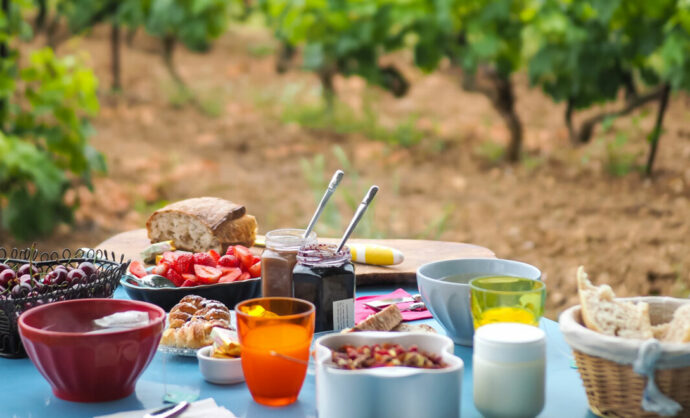 Déjeuner dans les vignes