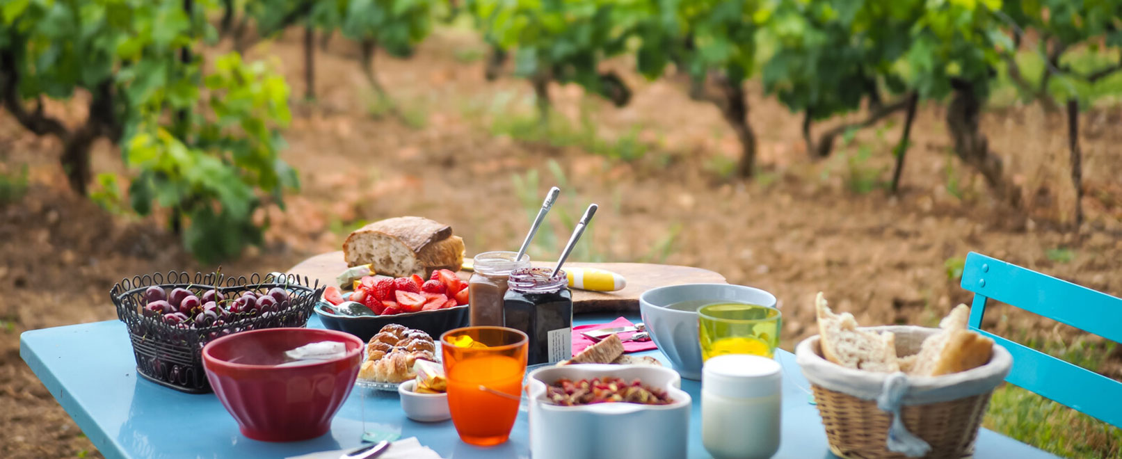 Déjeuner dans les vignes © On met les voiles