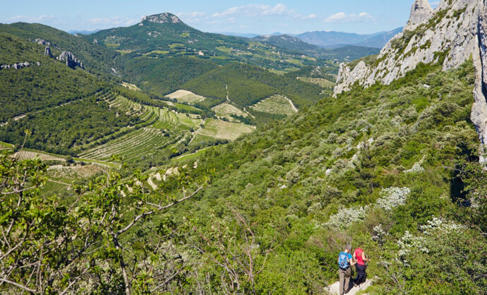 Randonnée dans les Dentelles-de-Montmirail