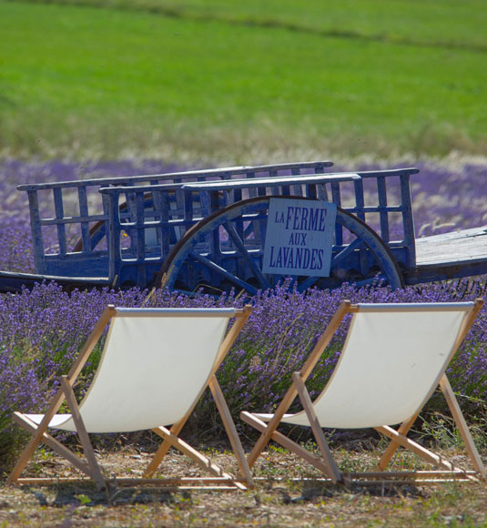 La ferme aux lavandes