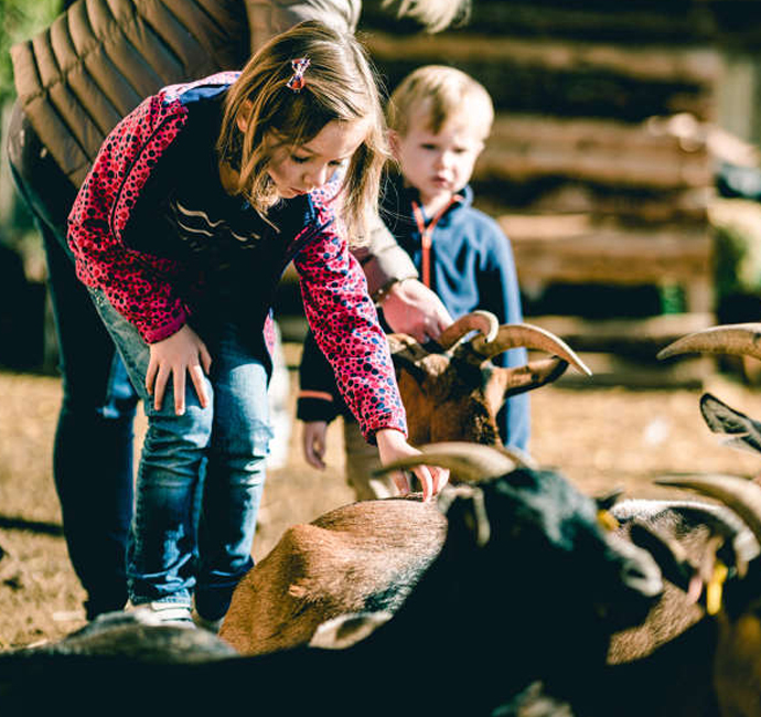 Ferme pédagogique