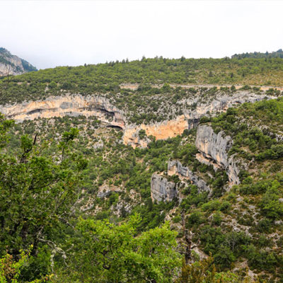 Les gorges de la Nesque