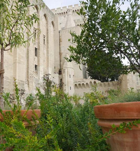 Jardin urbain V au palais des Papes