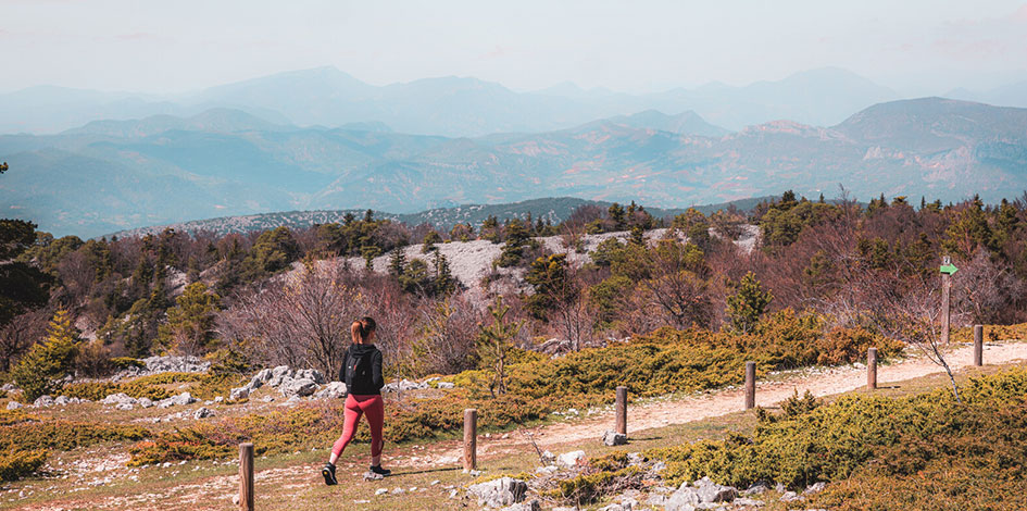 Sentier Jean-Henri Fabre au Ventoux