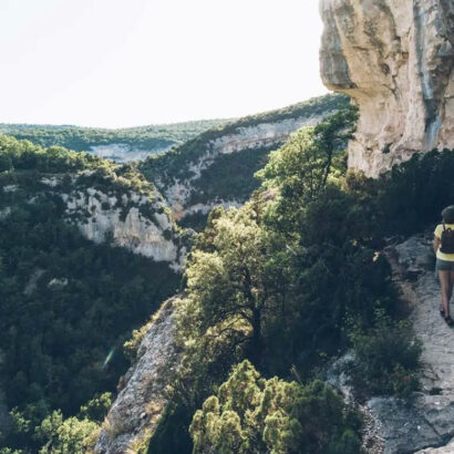 Les espaces naturels en Vaucluse De l'Isle-sur-Sorgue au pied du Ventoux