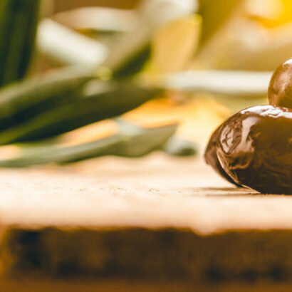 Récolte des olives du Ventoux