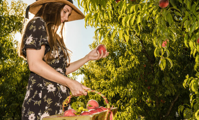 Agenda gourmand du printemps