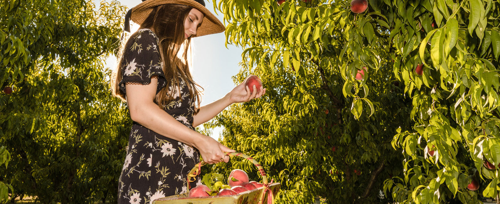 Agenda gourmand du printemps © Kessler