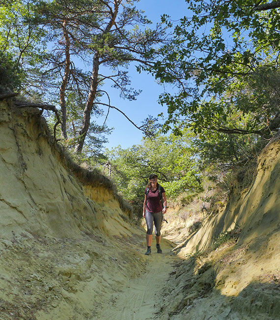 GR6 entre Barriès et La Cadenière