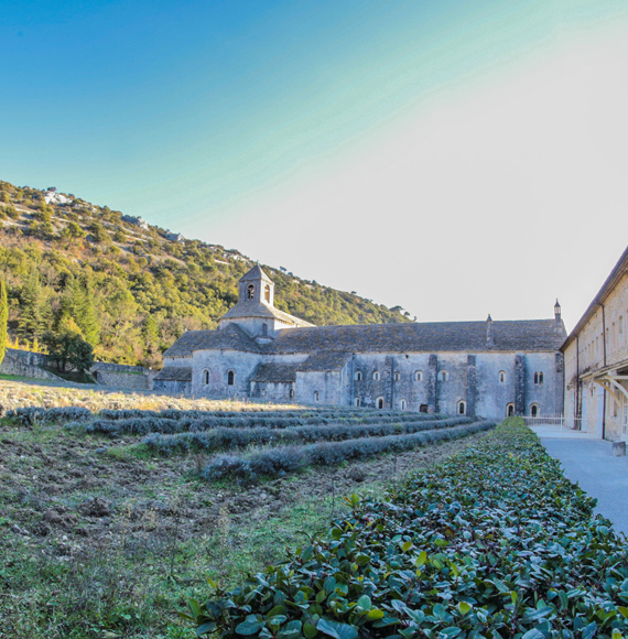 Abbaye de Sénanque en hiver