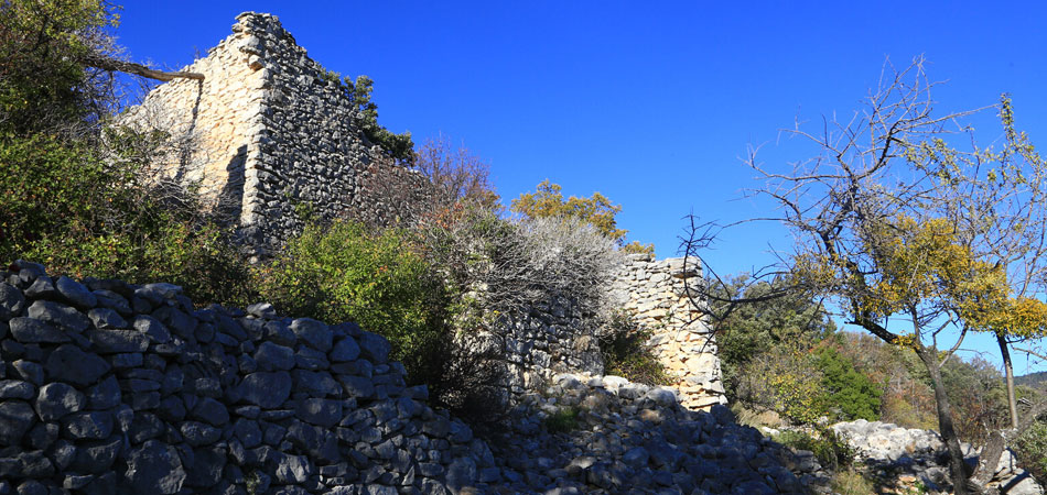 Château de St Saturnin les Apt