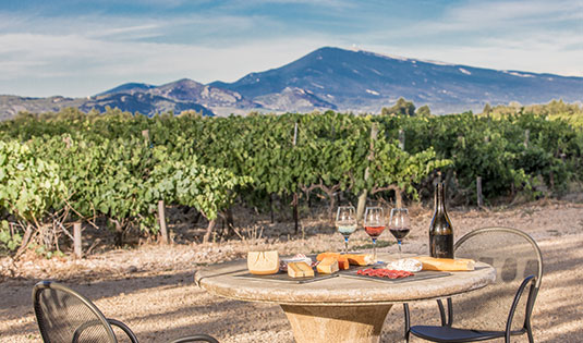 Tapas dans les vignes