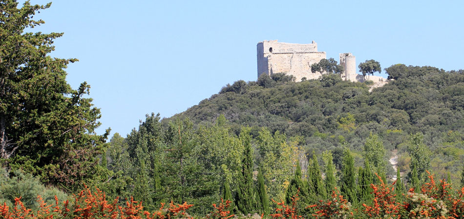 Château de Thouzon